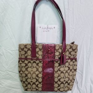 Coach Signature Khaki/Cranberry Python Stripe Tote